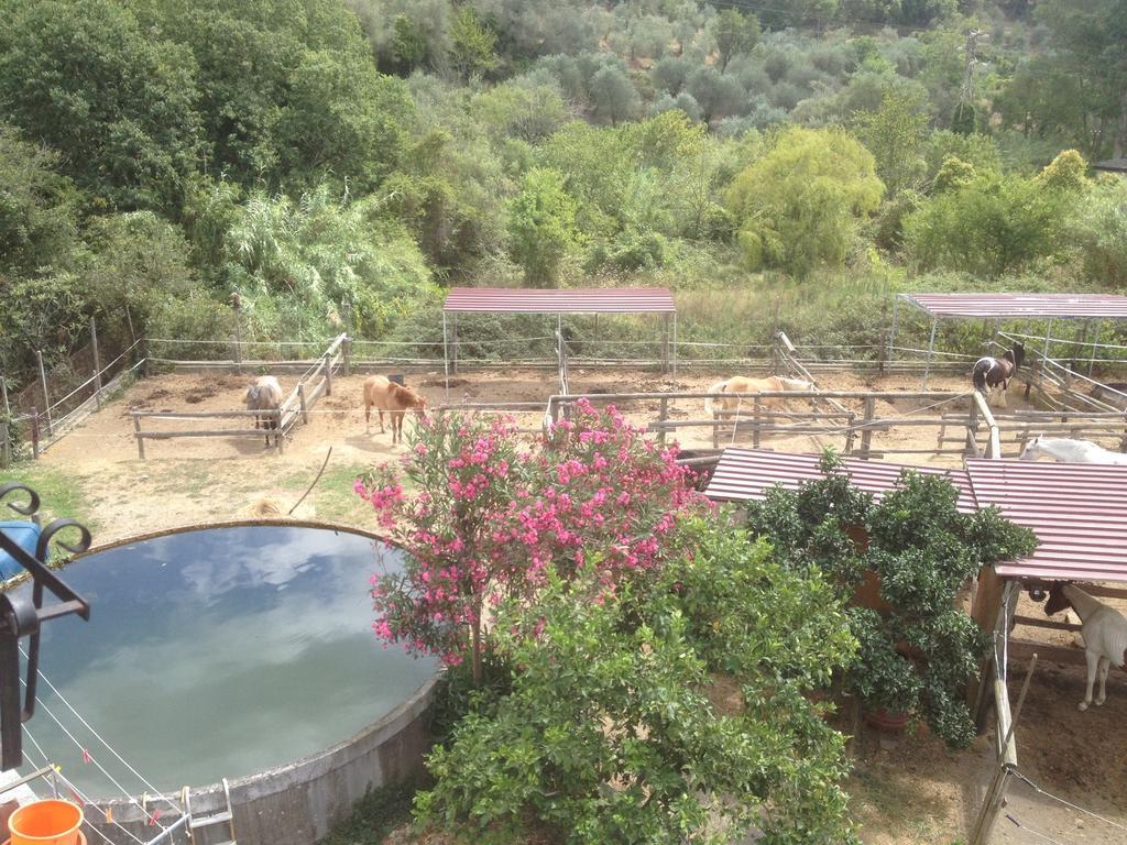 Il Piccolo Ranch Hotel Cervo Exterior foto